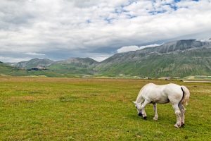 Castelluccio 2
